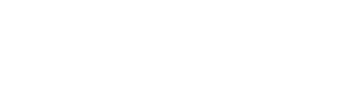 Palo Alto Networks partner